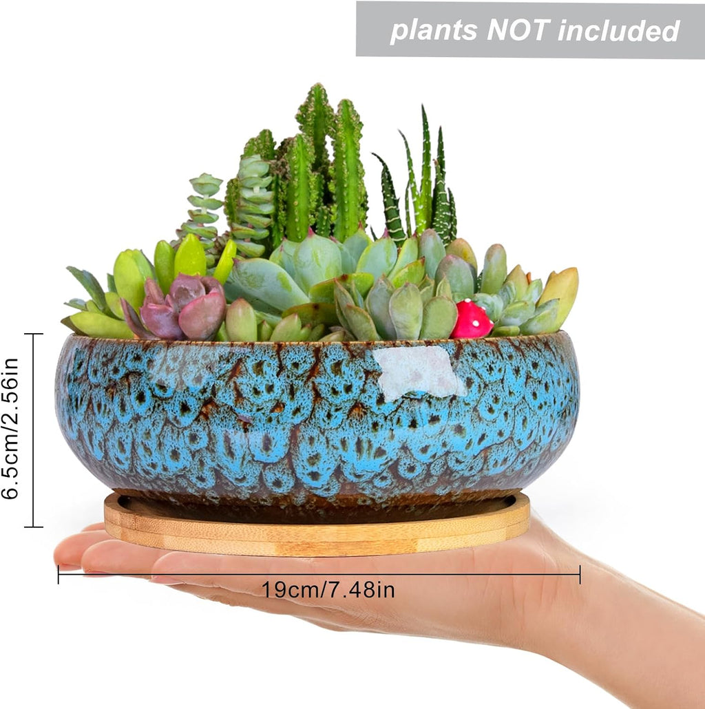 ARTKETTY Succulent Pots, 7.5 Inch Large Plant Pots with Bamboo Tray | Shallow Bonsai Pots with Drainage, Ceramic