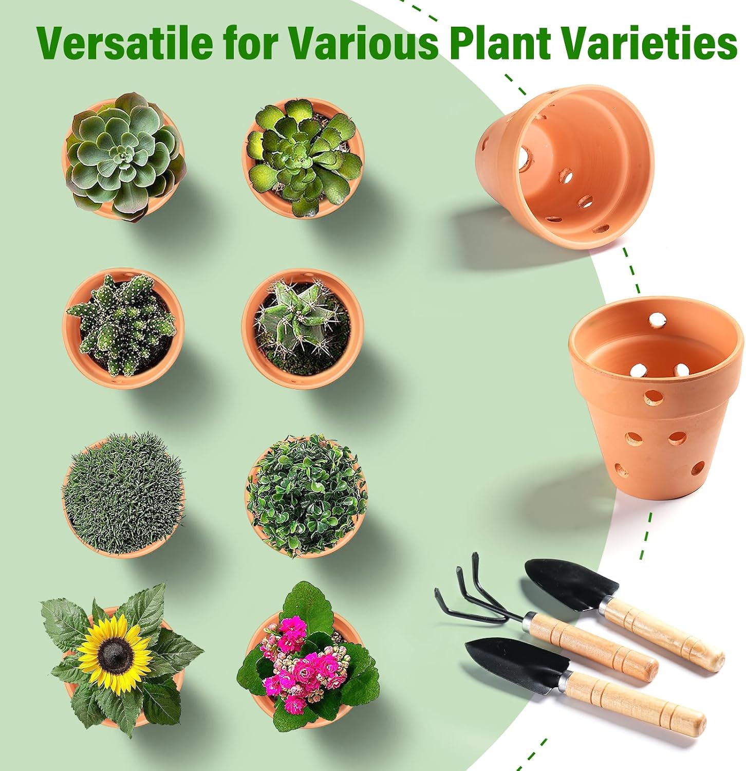 4 Inch Terracotta Orchid Pots with Holes and Saucers Set of 6 | Small Terra Cotta Clay Orchid Planter Pots for Plant