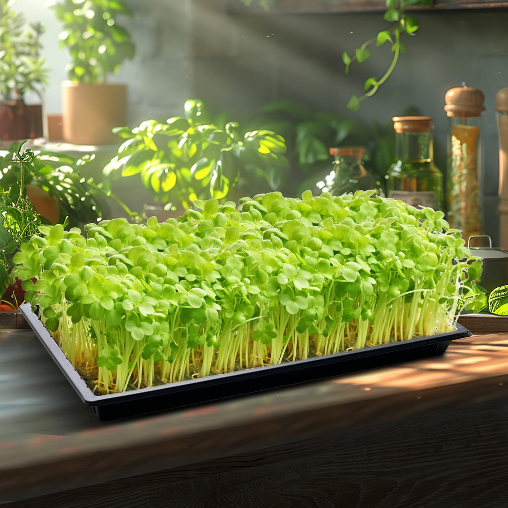 RooTrimmer Growing Trays, 1020 Plant Nursery Trays Heavy Duty Seed Starter Flat Seedling Tray for 72/128 Cell Plug Tray