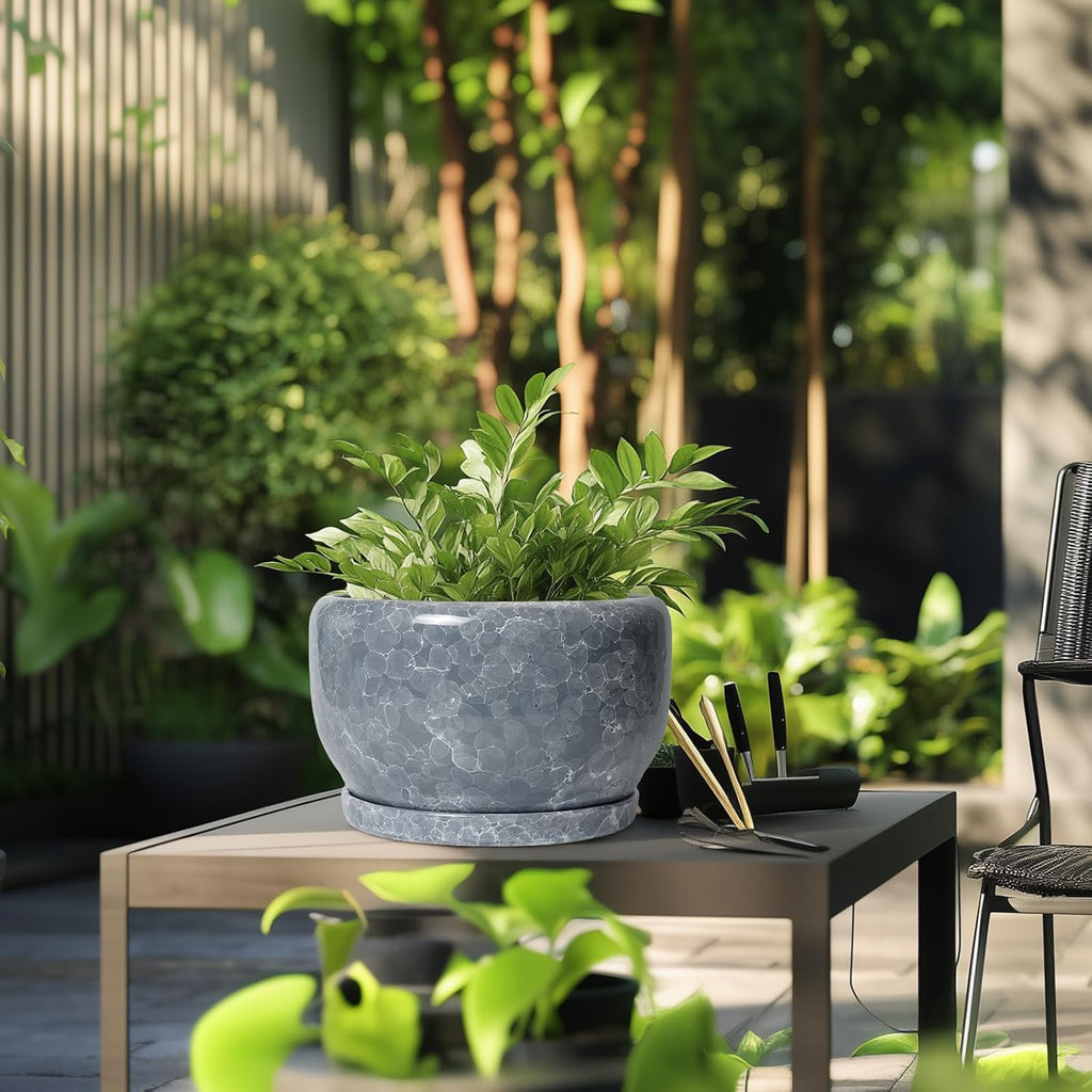 SQOWL Ceramic Pot for Plants - 10 Inch Plant Pot Indoor with Drainage Hole and Saucer, Round Ceramic Planter