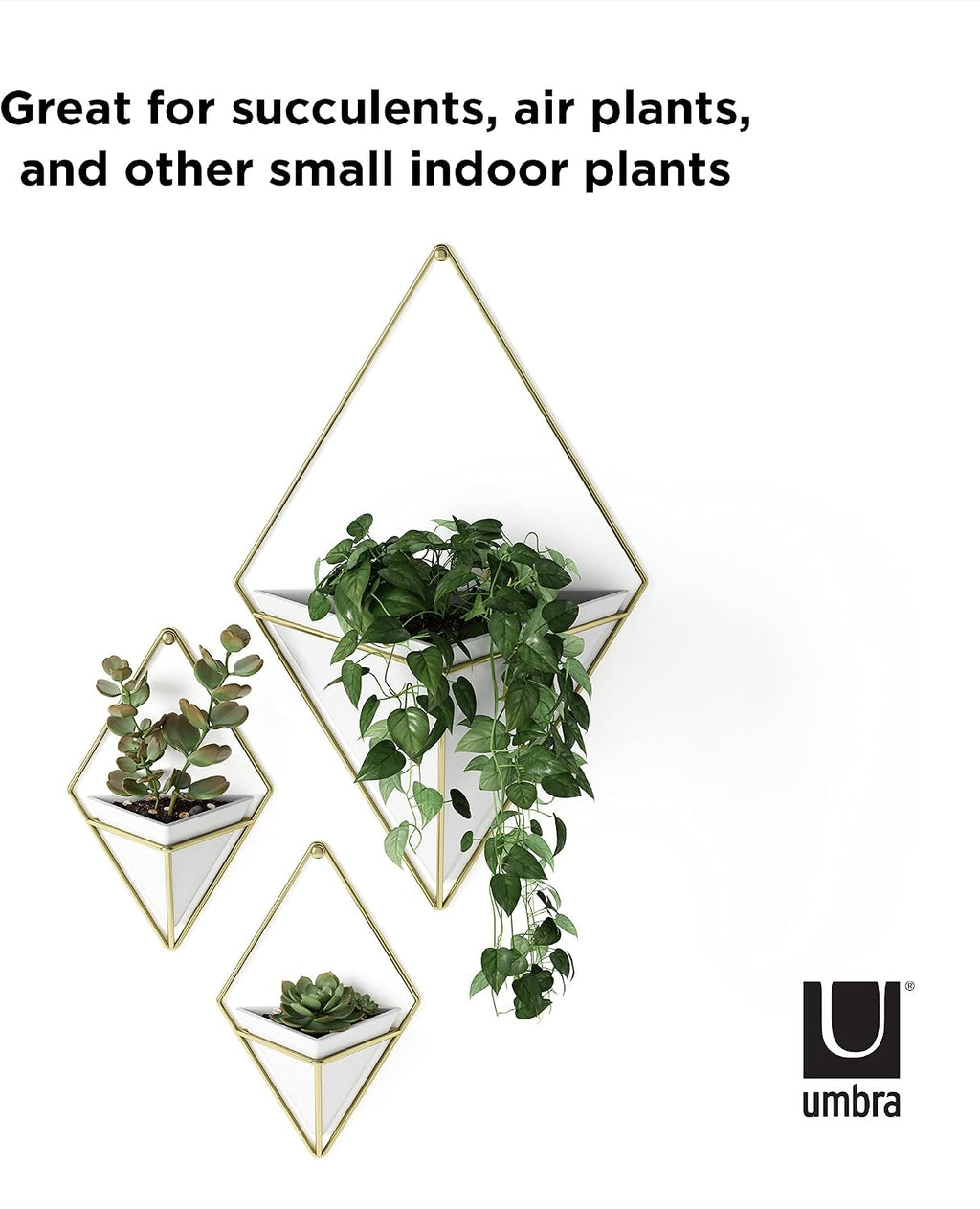 Umbra Trigg Hanging Planter for Small Plants, Set of 2, Small, White/Brass