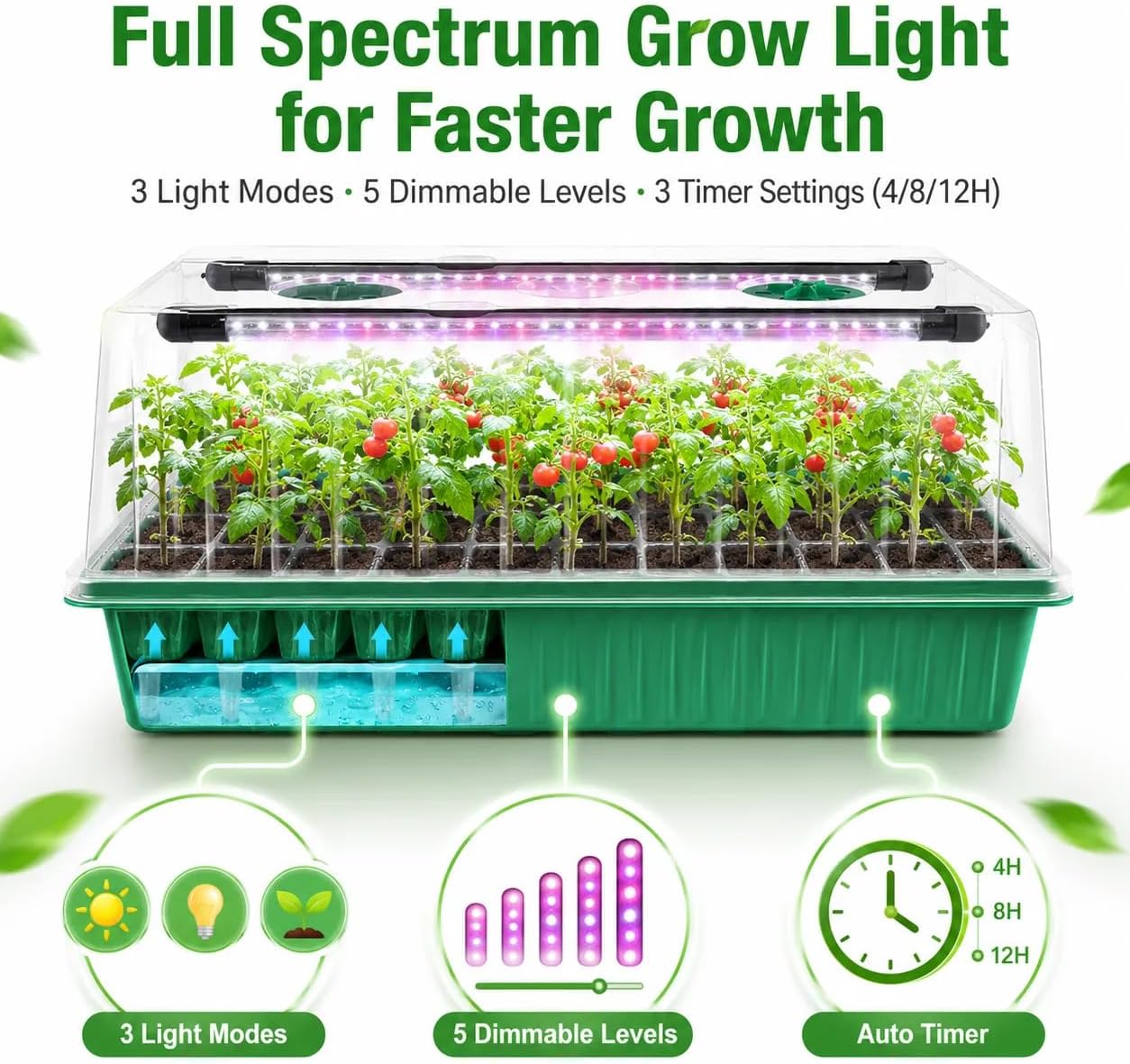 Seed Starter Tray with Timed Grow Light, 2 Pack 80 Cells Plant Starter Tray Seedling Starter Kit with Humidity Domes