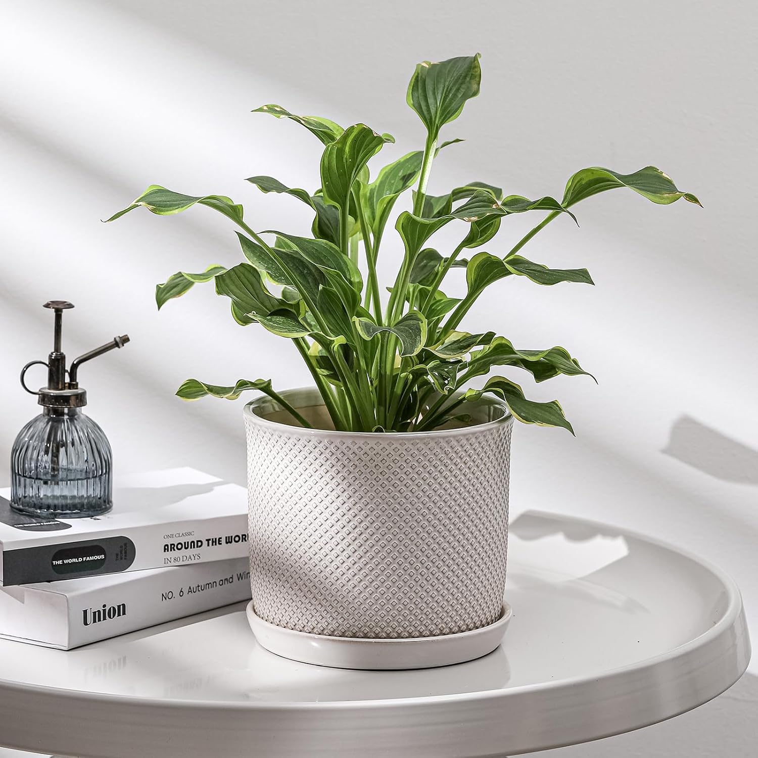8 Inch Plant Pot: Ceramic Planter with Drainage Hole & Saucer Indoor Outdoor Plants - Flowerpot with Bonded Tray for