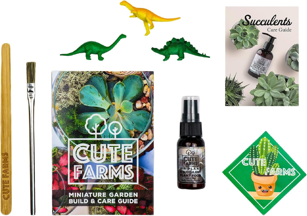 Terrarium Starter Kit | Moss, Vermiculite, Soil, Pebbles, Plant Food, & Finishing Tools (Large Kit + Live Plants +