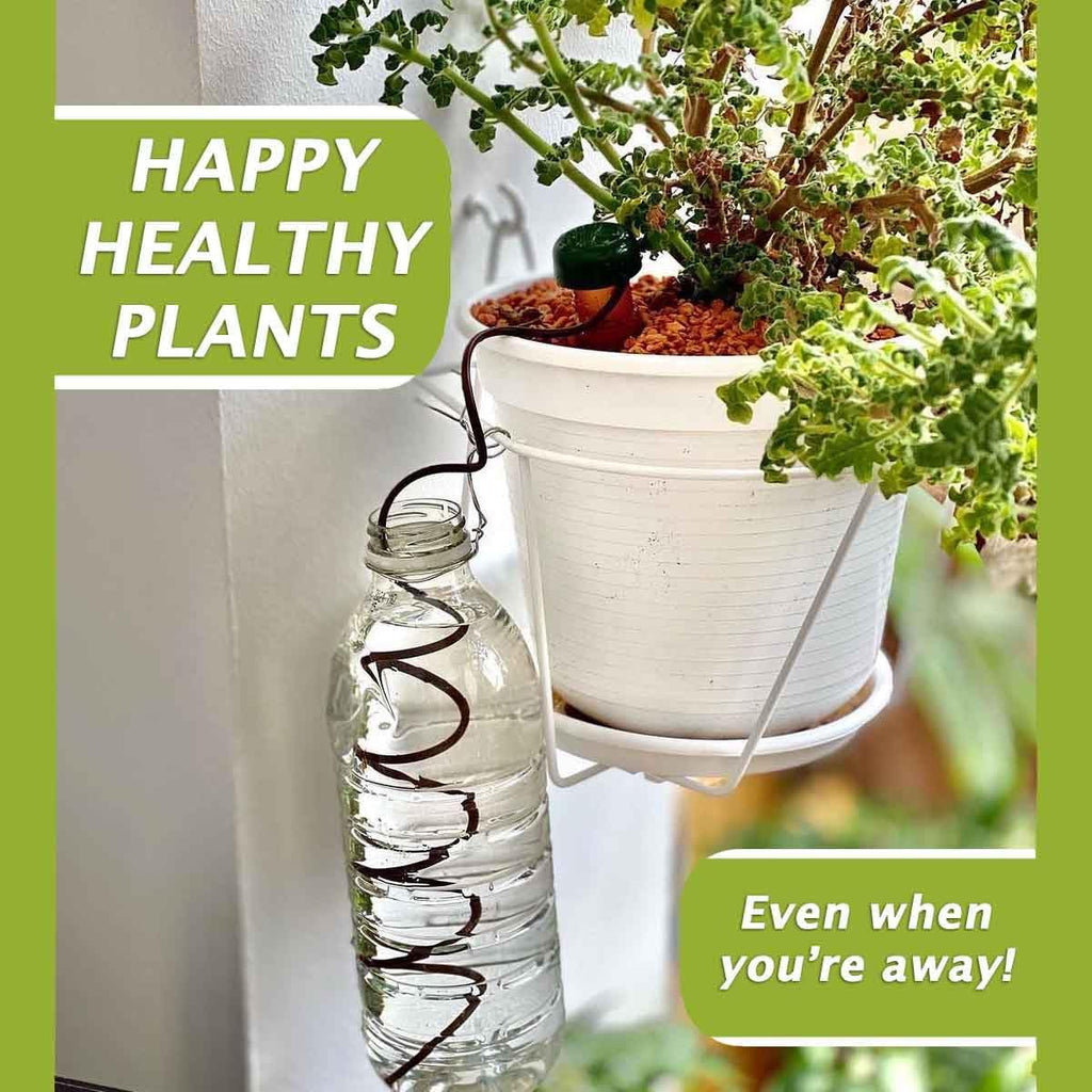 Blumat Classic Self-Watering Stakes - Prevents Overwatering and Underwatering for Healthy Growth While You are Away