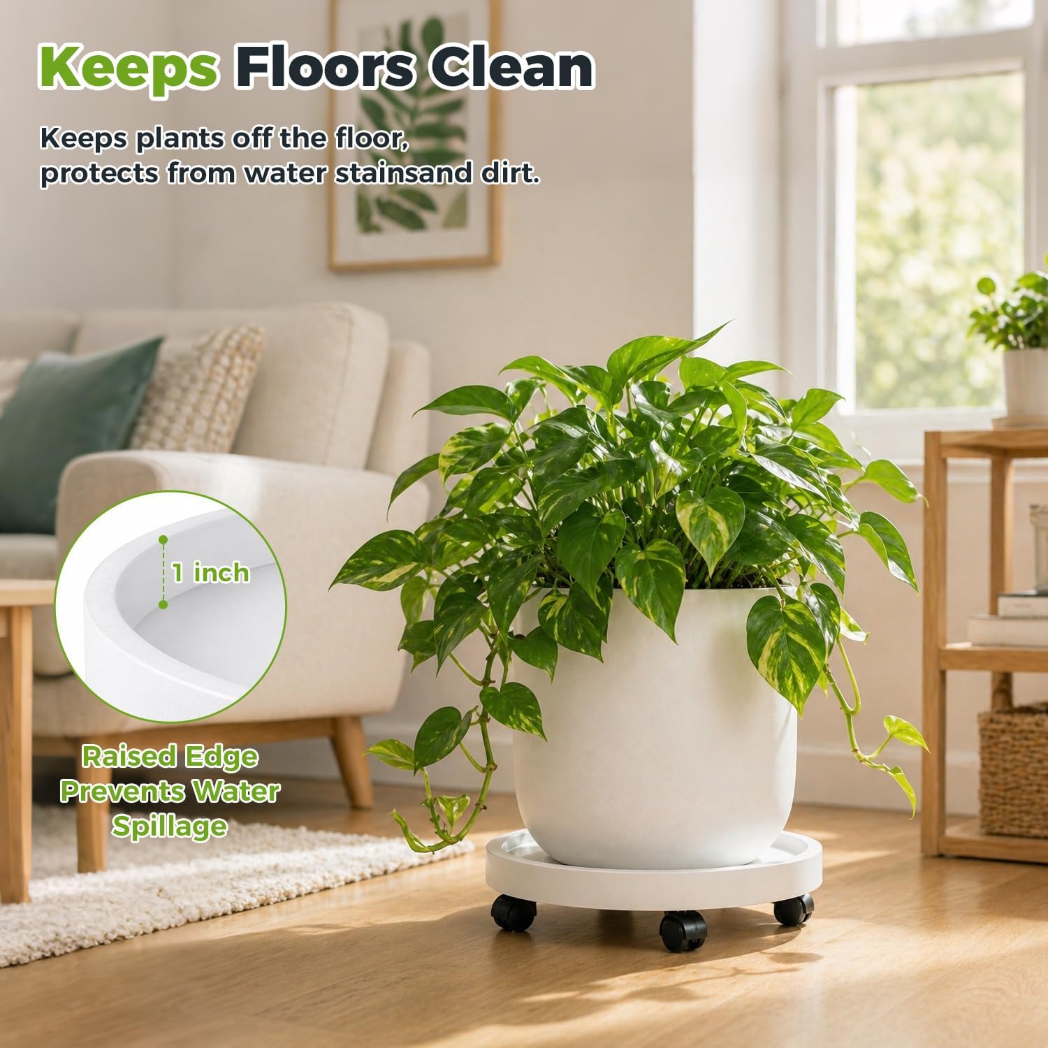 5 Pack Plant Caddy with Wheels Rolling Plant Stand with Wheels 10 Inch Plant Dolly Heavy Duty Large Potted Plant Mover