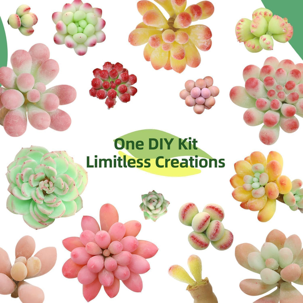 Microland Crafts for Teens Succulents Flower Making Clay Kit Creative Gifts | Crafty Gift w/ Pots & 60+ Tools
