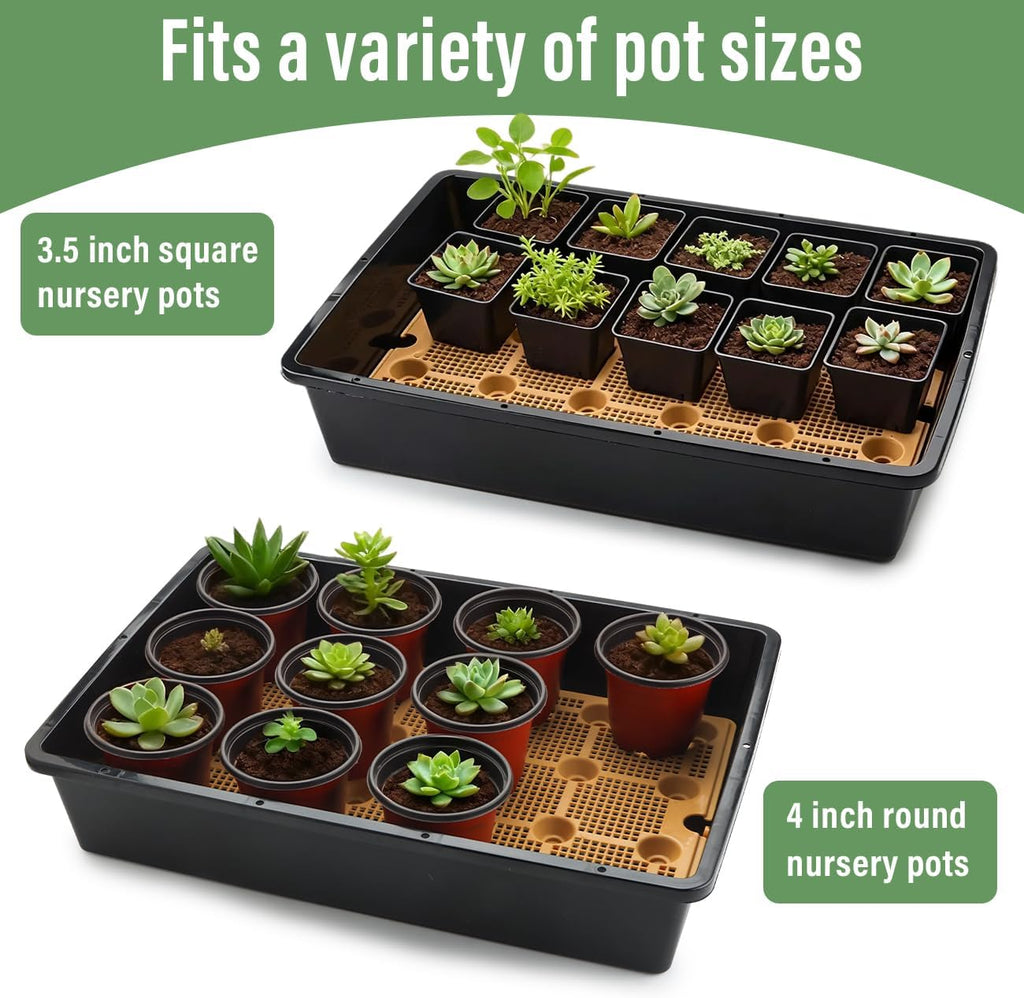 5 Pack Nursery Pots Trays with Removable Mesh Drainage Mat, Plastic Seed Starter Trays (17"x12"x3.5") with Drainage