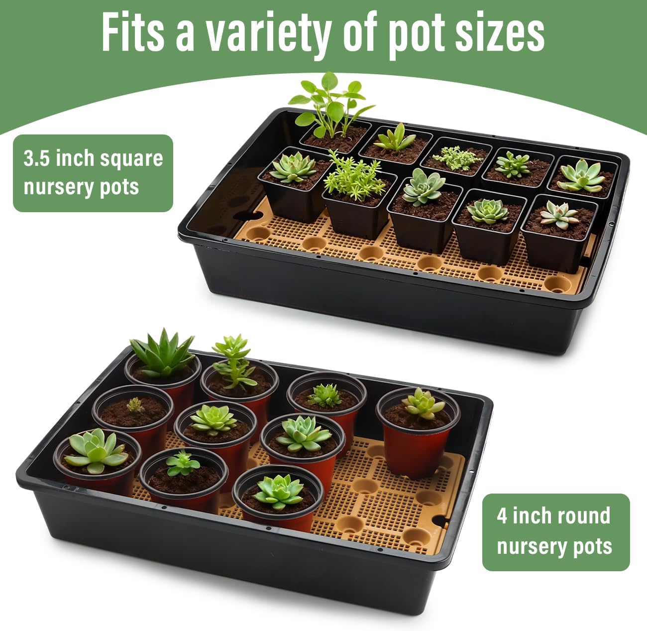 5 Pack Nursery Pots Trays with Removable Mesh Drainage Mat, Plastic Seed Starter Trays (17"x12"x3.5") with Drainage