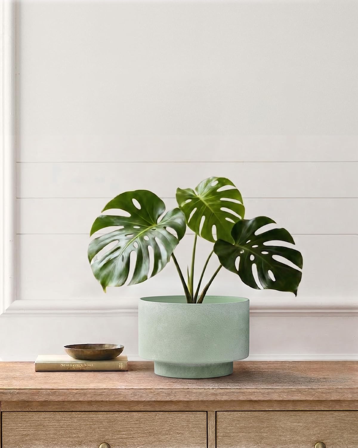Succulent Pots, 8"+6" Plant Pots, Ceramic Planters for Indoor Plants | 2-piece set with drainage holes, hand-painted