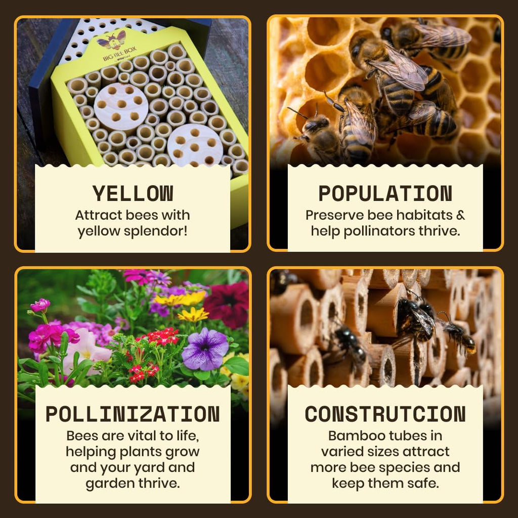 Bee House for Garden - Yellow with Nesting Tubes, Easy Mount | Wooden pollinator hotel with removable nesting tubes