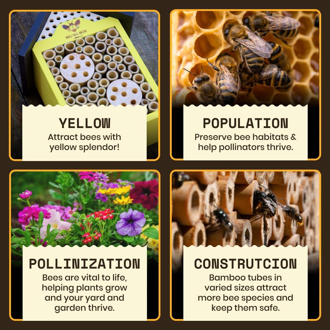 Bee House for Garden - Yellow with Nesting Tubes, Easy Mount | Wooden pollinator hotel with removable nesting tubes