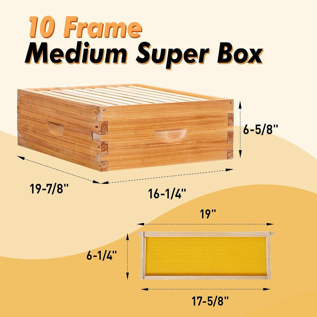 BeeCastle 10 Frame Langstroth Bee Hive Coated with Beeswax Includes Beehive Frames and Waxed Foundations (2 Deep Boxes