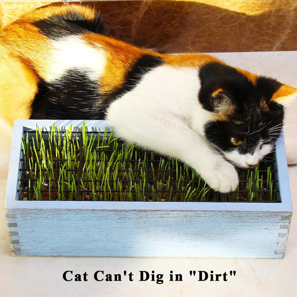 Wooden Cat Grass Planter (no Seeds Included) Anti Digging Design | with Potting Soil Disks, Anti-Digging Grid and