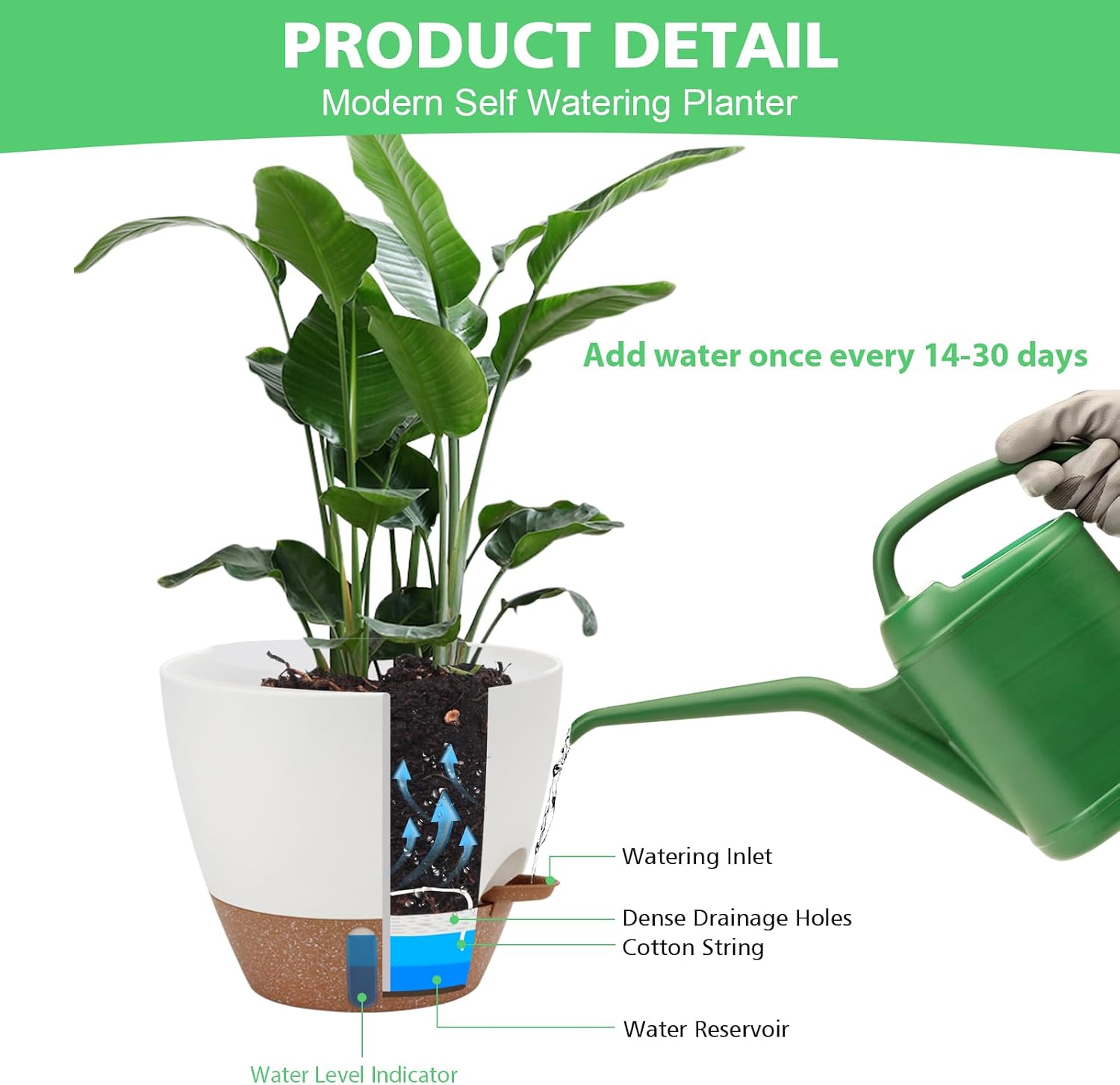 Self Watering Planter with Visual Water Level, 6Pack Small Plastic Pot Set with Drainage Holes and Reservoir Saucers