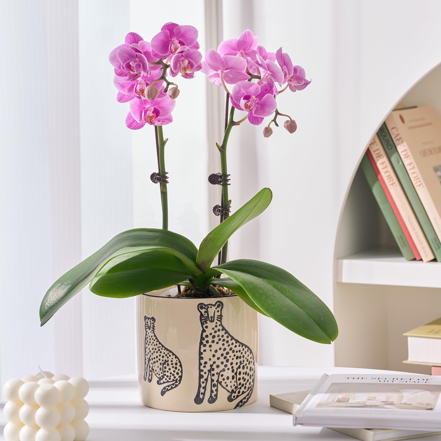 STHIE 5 Inch Ceramic Planters for Indoor Plants, Funny Small Plant Pots | Cute Planters with Drainage Holes, Unique