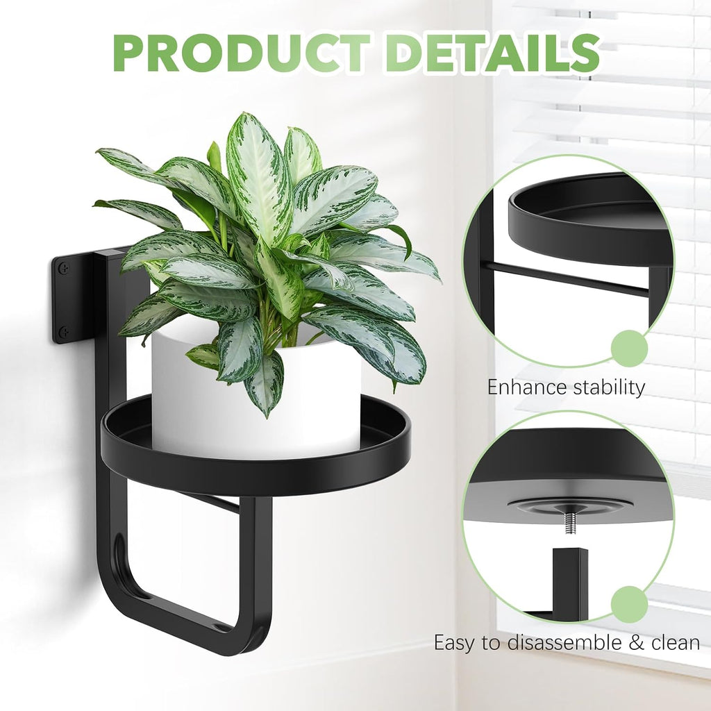 Wall Plant Holder, 7.9 Inch Large Hanging Plant Holder Wall Planters for Indoor Plants, Wall Mounted Plant Holder