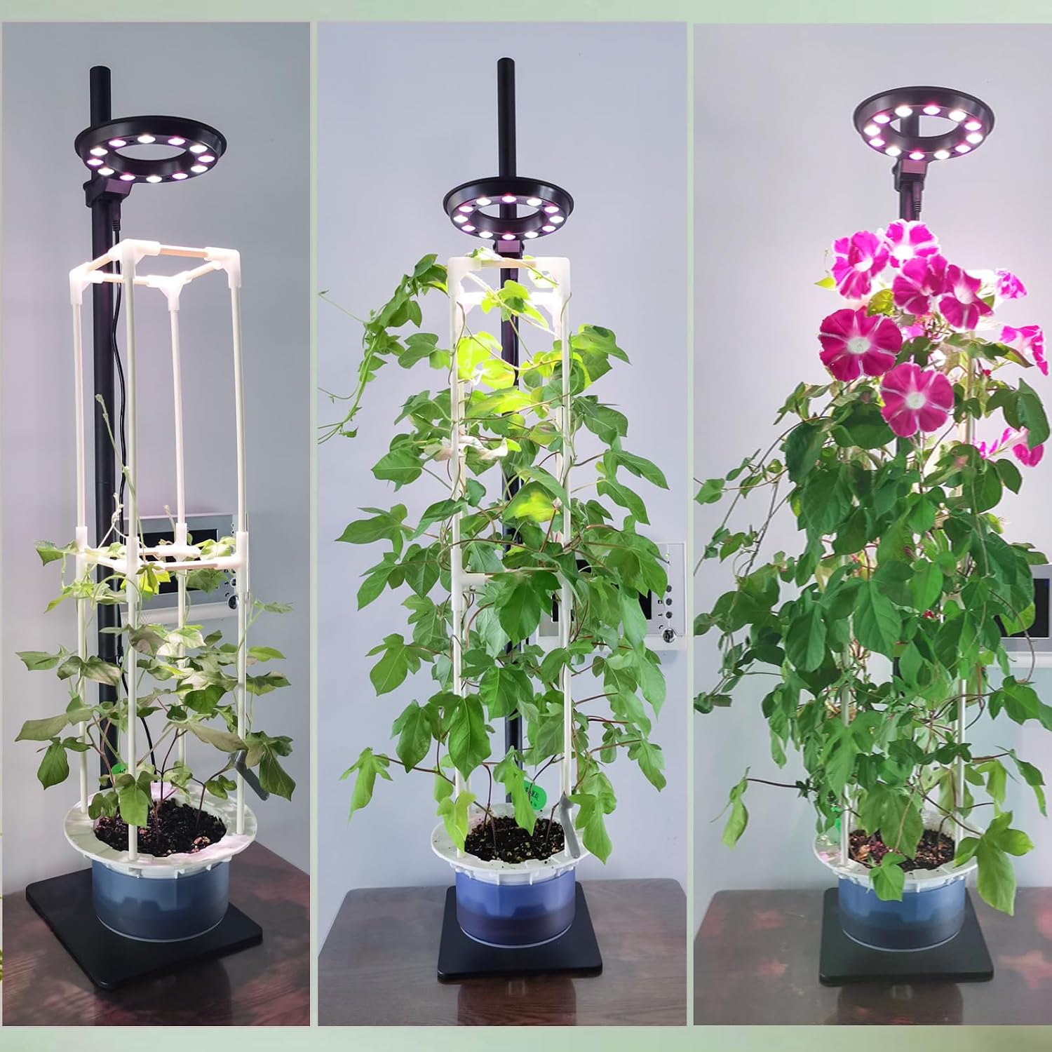 Indoor Plant Hydroponics Growing System Tower Kit with Grow light,Herb Vegetable Indoor Gardening System with Standing