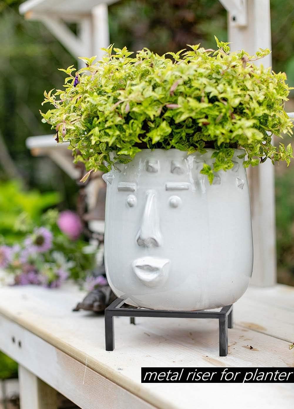 TenFuju 9.8" Metal Heavy Duty Potted Plant Stand Flower Pot Holder with Saucer Indoor Outdoor Rustproof Iron Garden