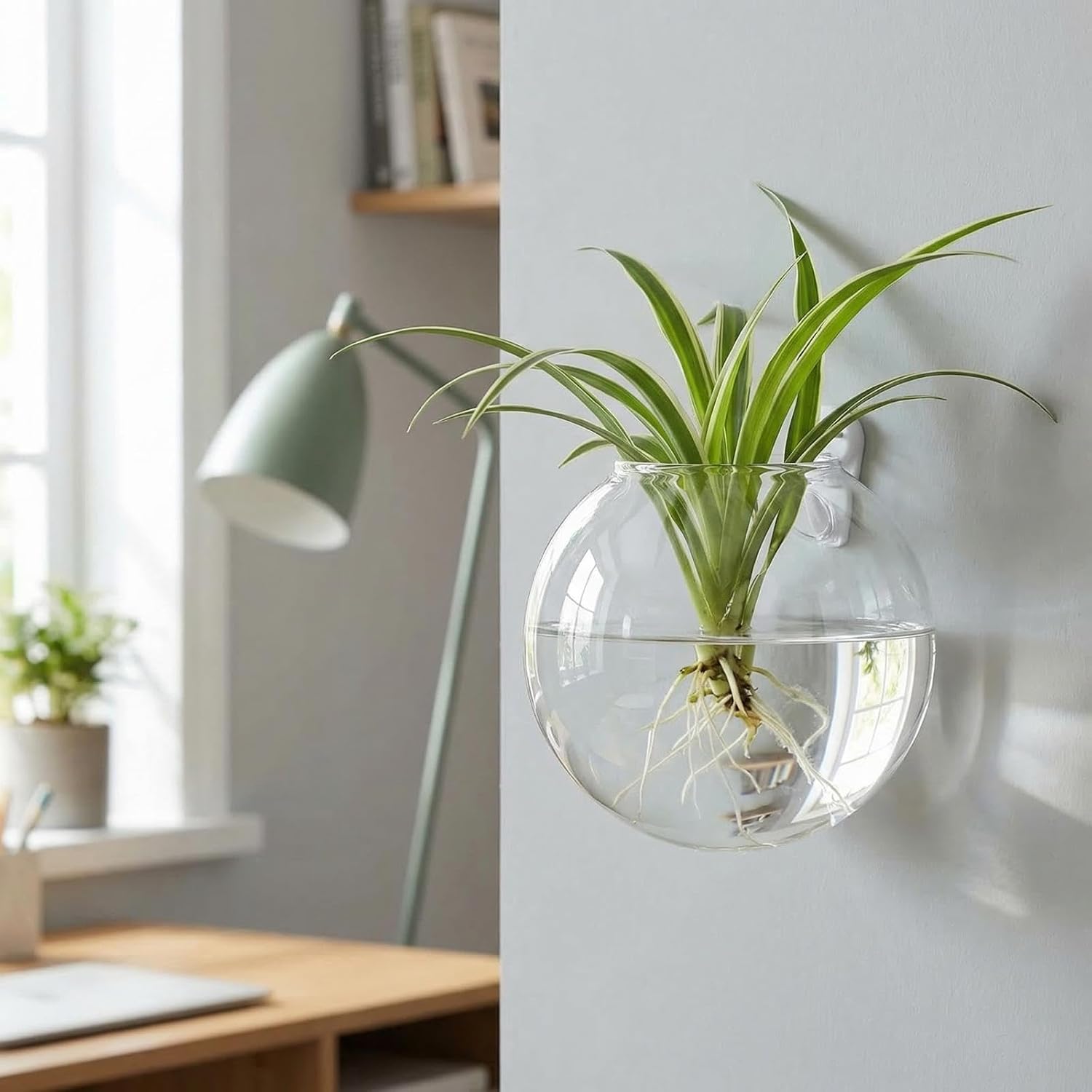 6 Pack Wall Hanging Planters Terrarium, 4.7 Inch Glass Oblate Globe Plants Containers, Wall Mount Clear Flower Vase for