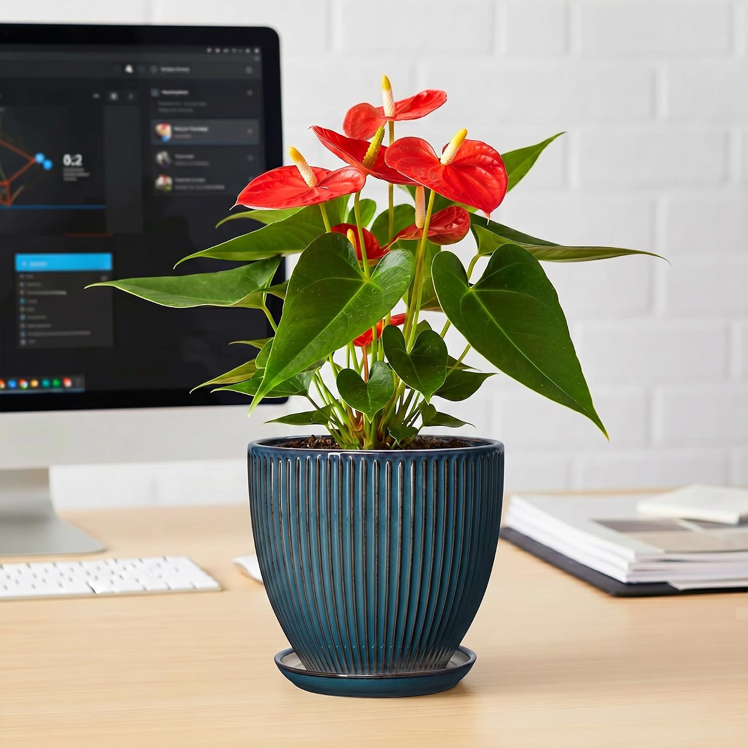 6 Inch Plant Pot, Ceramic Flower Pots for Indoor Plants, Round Planters with Drainage Hole and Saucer, Decorative Small