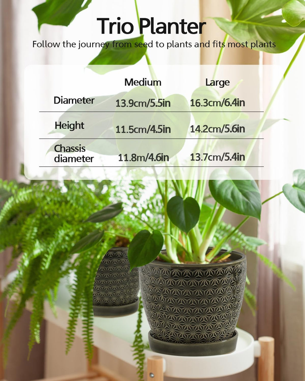 Plant Pots, Flower Pots, Planters for Indoor Plants(6.5+5.5inch), Flower Pots for Indoor Plant with Drainage Hole and