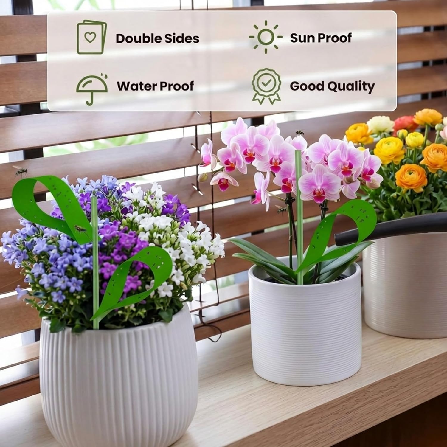 Qualirey 300 Pcs Sticky Houseplant Traps Fungus Gnat Fruit Fly Trap Sticky Houseplant Stakes Insect for Outdoor Garden