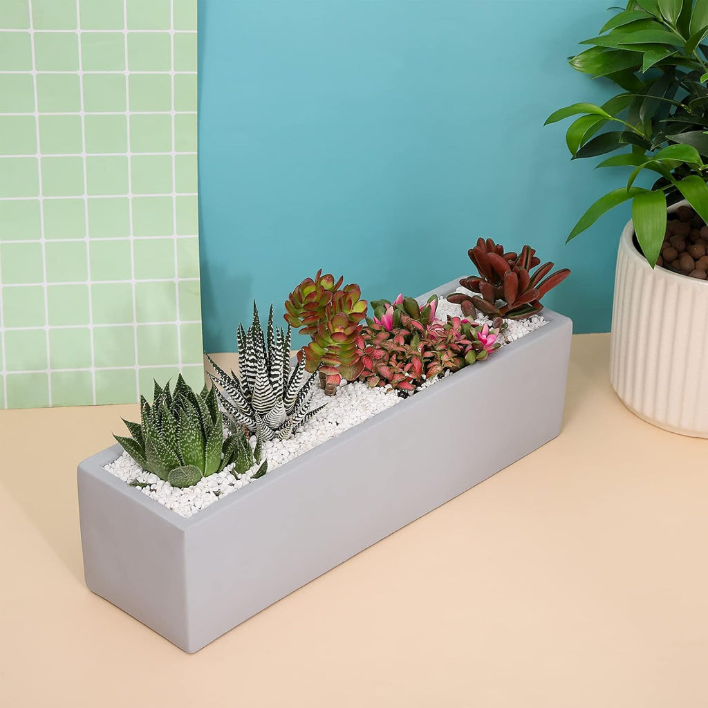 15 Inch Grey Rectangular Cement Planter Concrete Succulent Planter Windowsill Box