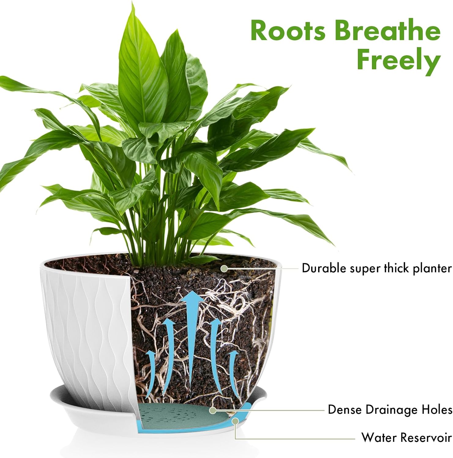 QRRICA Plant Pots 12/10/9 Inch Pots, Set of 3 Plastic Planters with Drainage Holes and Saucers,Plastic Flower