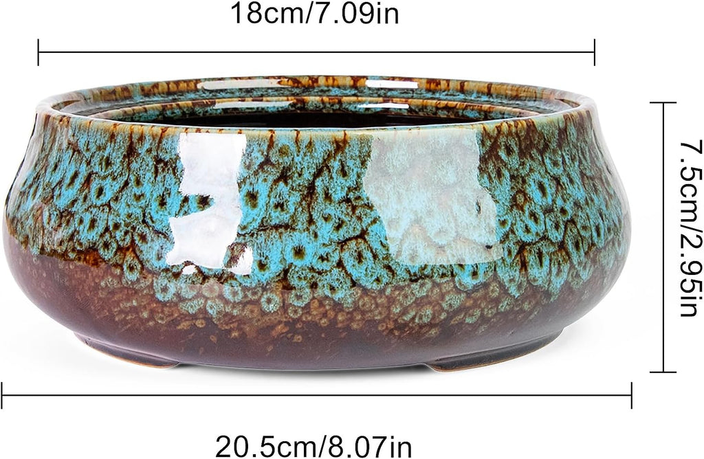 ARTKETTY Succulent Pots, 8 Inch Plant Pots Large Bonsai Pots with Drainage | Ceramic Shallow Planters for Indoor