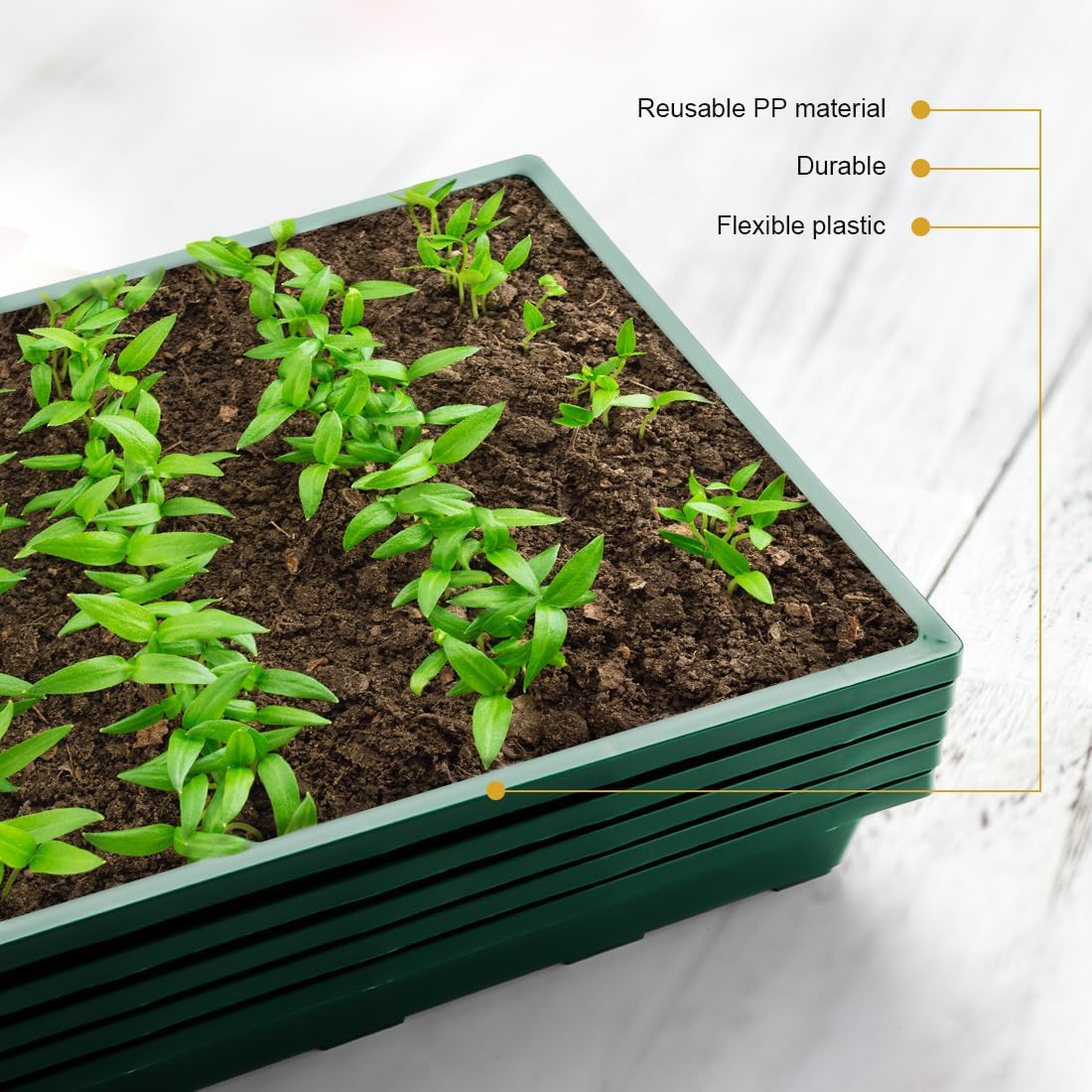 RooTrimmer 1020 Nursery Pots Trays 5 Pack, Plastic Flat Seed Starter Trays, Durable Seedling Potting Tray for Carrying