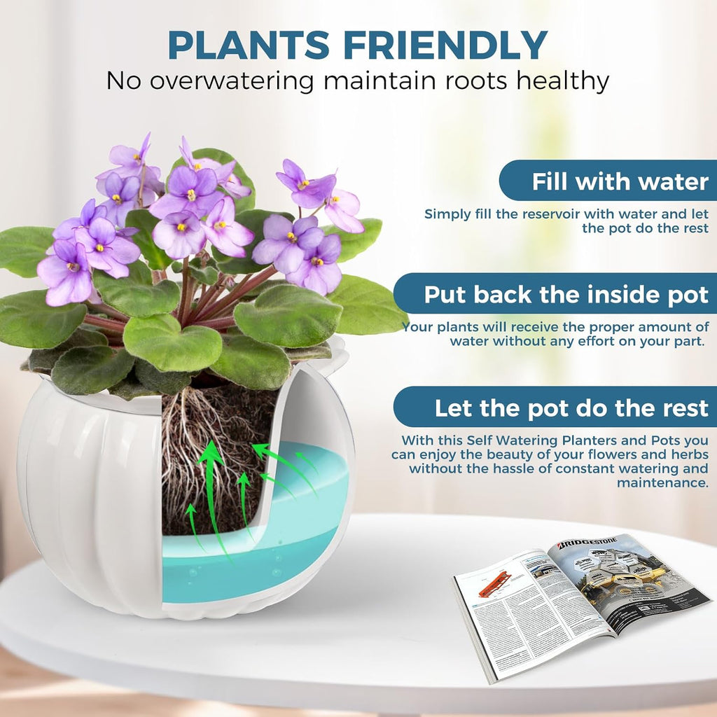 BUYMAX 6 Inch Self Watering Ceramic African Violet Pot Indoor Plant Pot | Pumpkin Style Design | Automatic Water