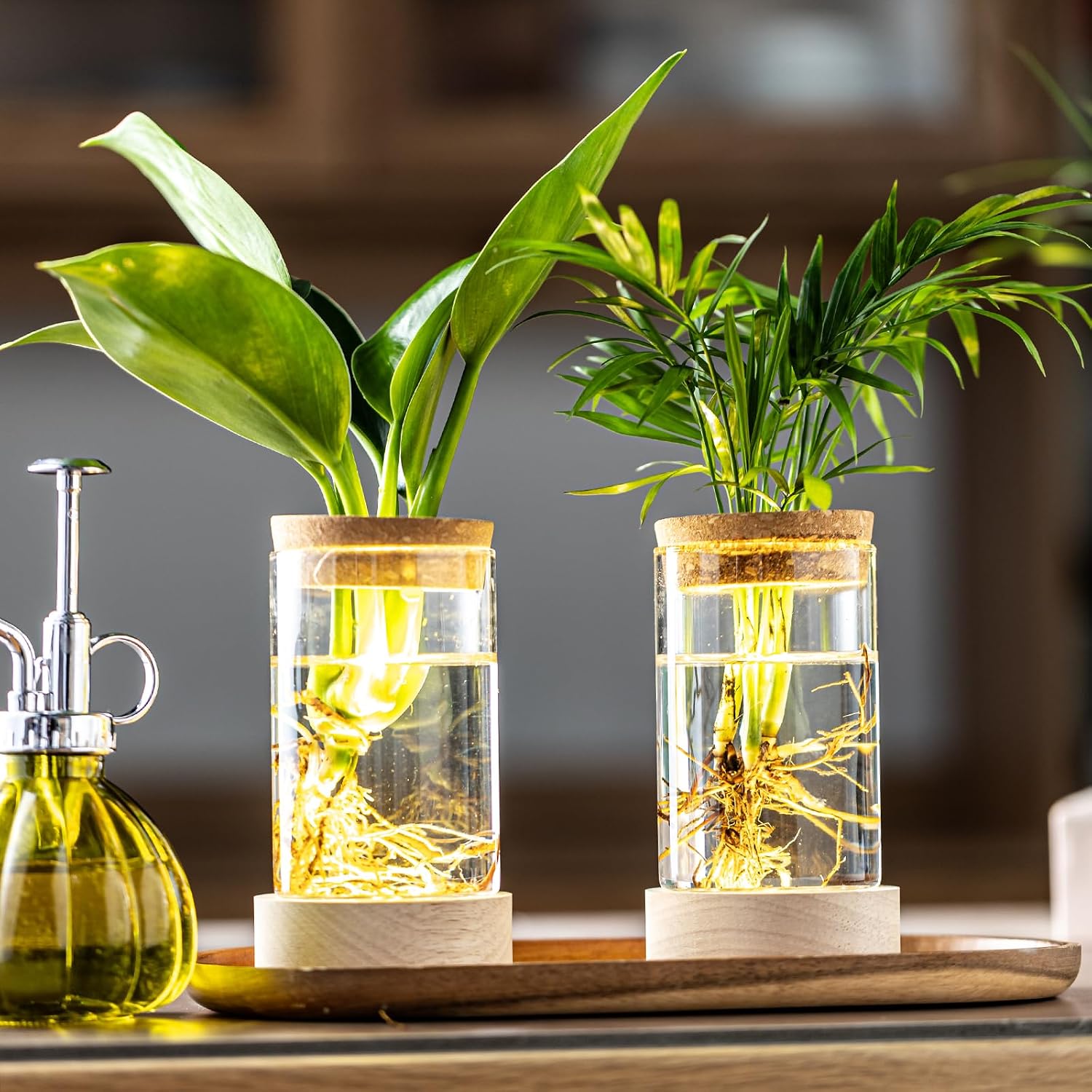 Glass Plant Propagation Stations, Propagation Vases for Plants with Ambient Light Base, Hydroponic Vase for Home &