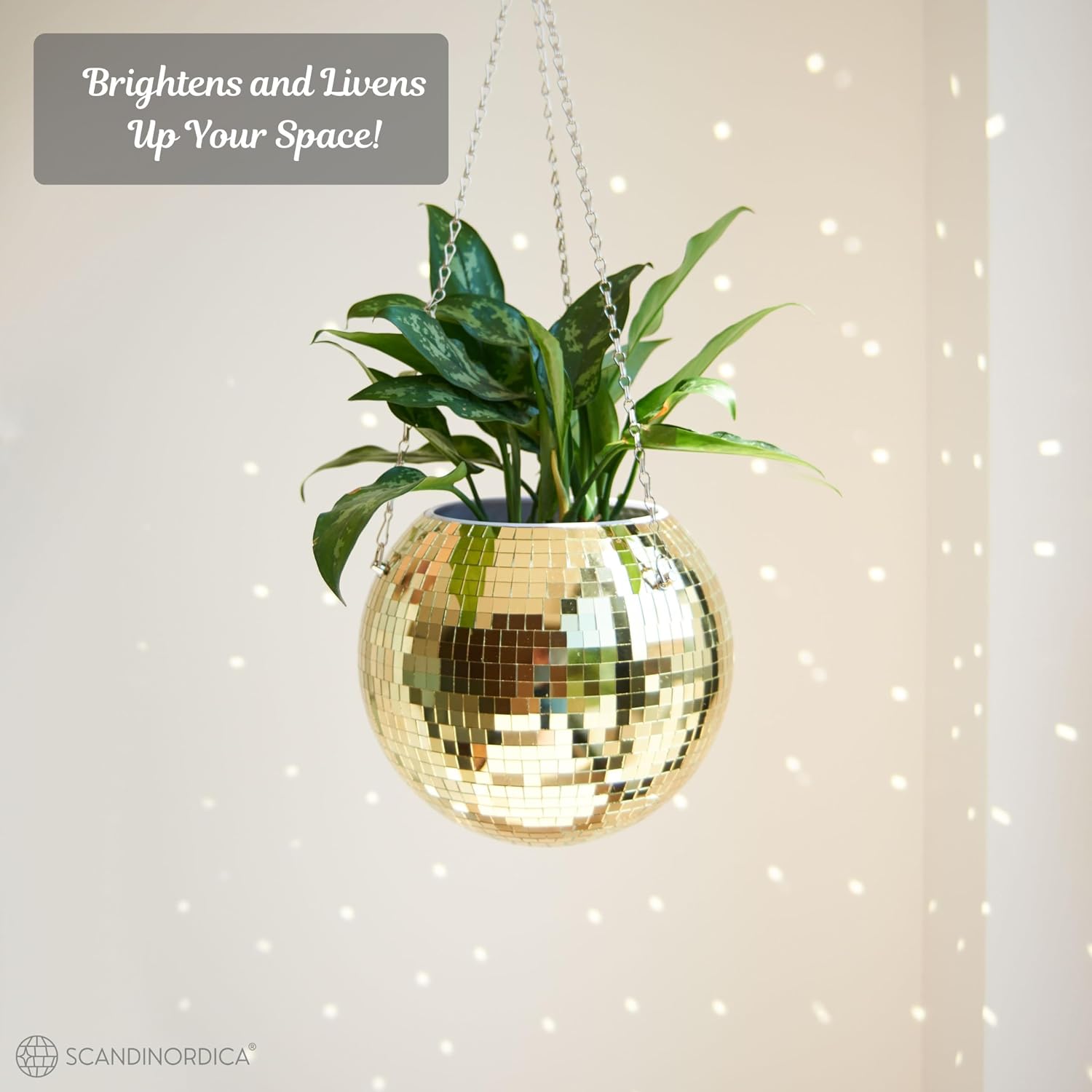 Disco Ball Planter – Value Package: Mirror Disco Planter with Chain, Macrame Hanger and Acrylic Stand for Desk