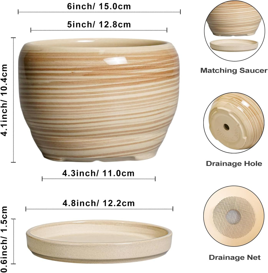 SQOWL Ceramic Pot for Plants - 6 Inch Indoor Planter with Drainage Hole and Tray, Round Modern Flower Pot Outdoor