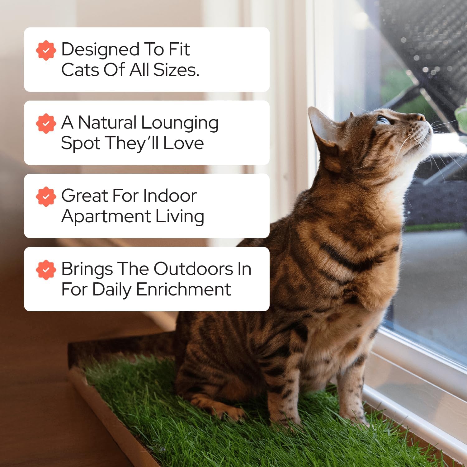 Kitty Lawn Real Grass Cat Lounger & Bed - Natural Grass Pad for Cats 24x9 | USA-grown real grass lounging pad for