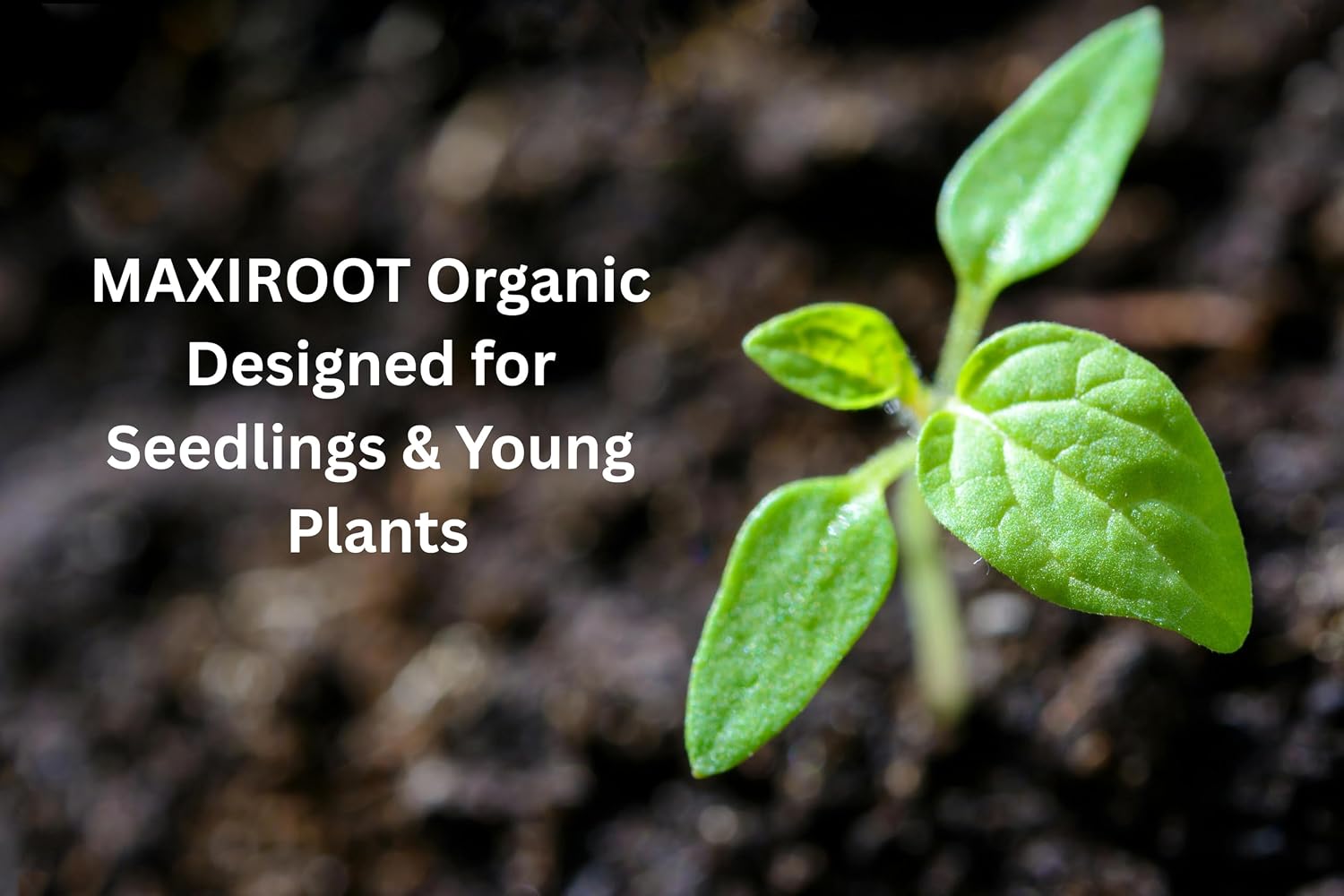 Organic Seedling Solution, Liquid Fertilizer for Seedlings, Cuttings & Clones – Natural Seaweed & Fish-Based Plant Food