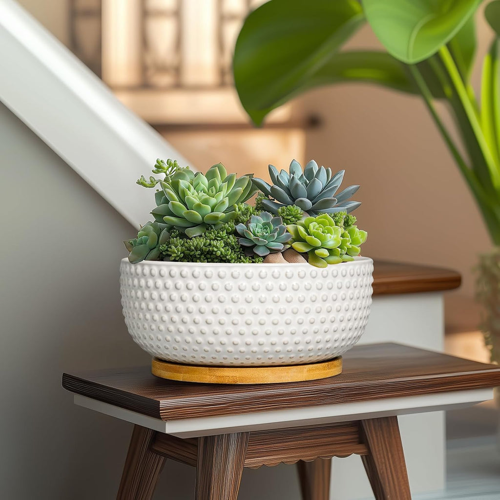 Succulent Pots 8 Inch - Ceramic Bonsai Planters for Indoor Plants, Plant Pot with Drainage Hole and Saucer, Shallow