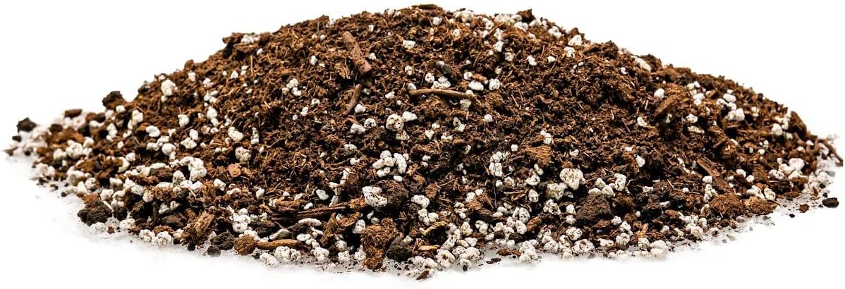 House Plant and Tropical Plant Potting Soil - Re-Potting Soil for All Types of Indoor House Plants - 5 Quart Bag