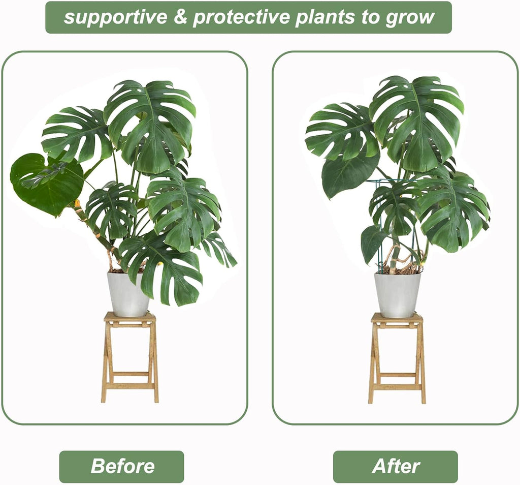 12 Pack Plant Support Stake, 16 Inch Peony Cages and Supports for Outdoor Plants, with 15 Pcs Plant Labels, 20 Pcs