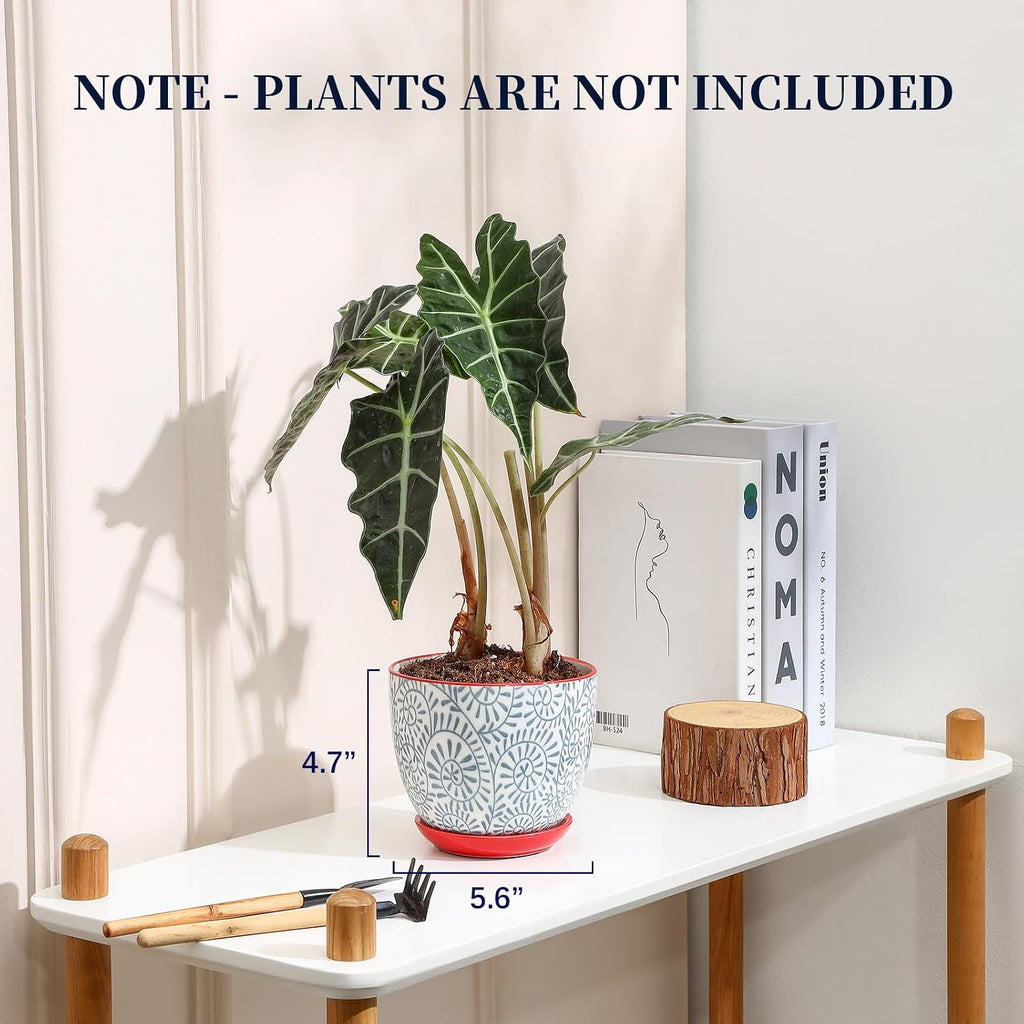 Selamica Ceramic Plant Pots, 5.6 Inch Flower Pots for Indoor Plants, Planters with Drainage Hole and Saucer, Garden