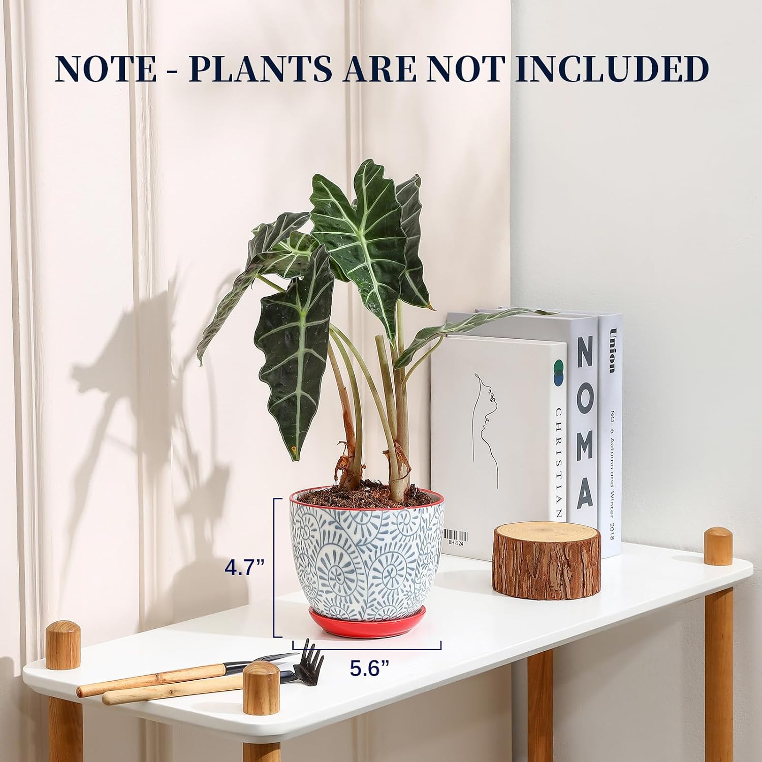 Selamica Ceramic Plant Pots, 5.6 Inch Flower Pots for Indoor Plants, Planters with Drainage Hole and Saucer, Garden