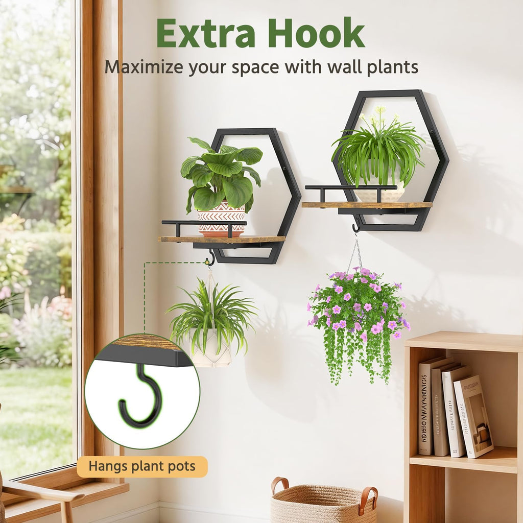 LASZOLA Plant Picture Frame Holder Shelf Wall Window Indoor, 2 Pcs Brown | Modern Floating Flower Hanger Wall Mounted
