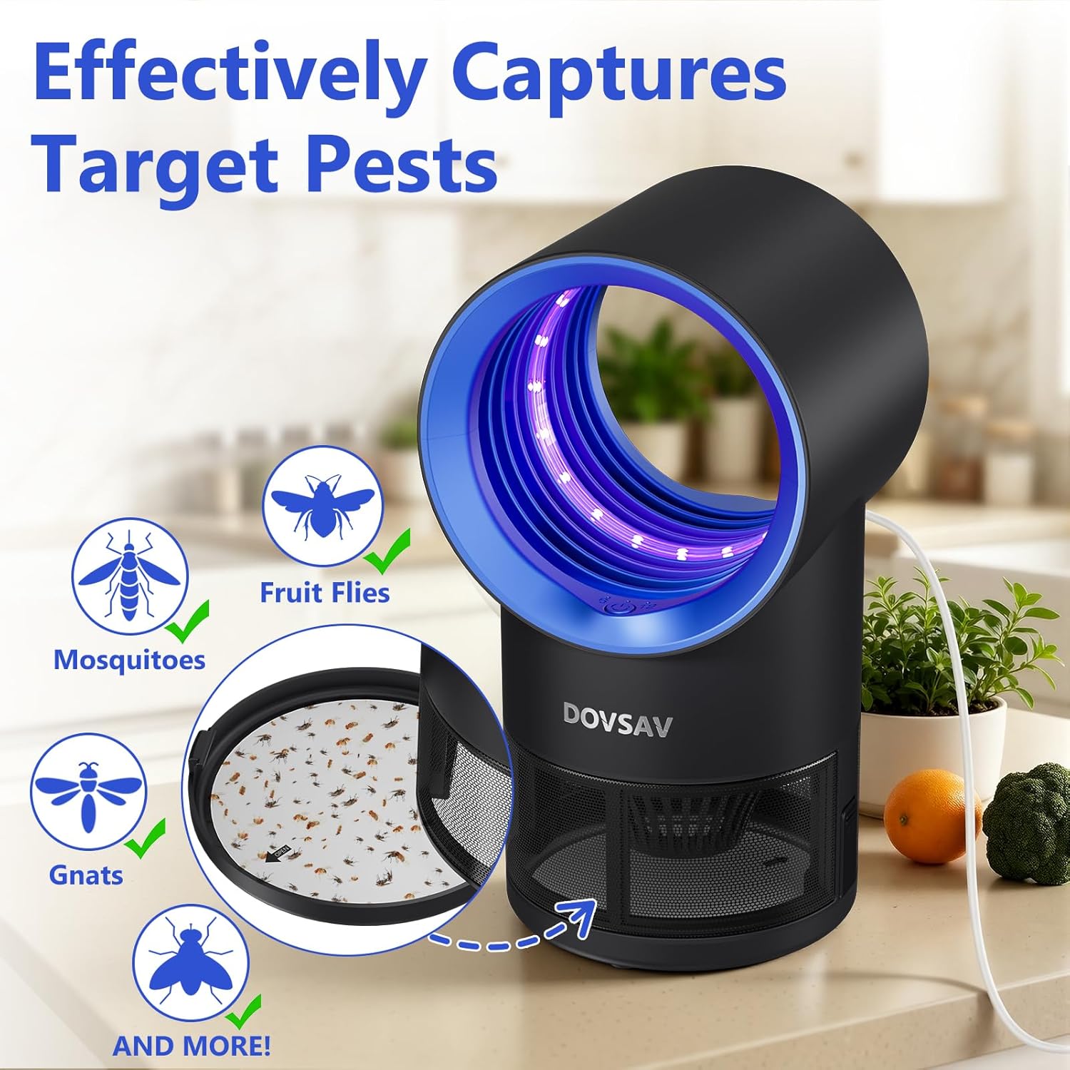 Fruit Fly Traps for Indoors, Blue Gnat Trap Indoor with Suction & Timer | Uv Light Lures Fruit Flies/Gnats, Timer