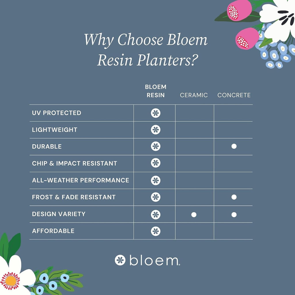 Bloem Ariana 12" Plastic Self-Watering Planter, Charleston Green, 2-Pack | Self-watering disk at the bottom of each pot