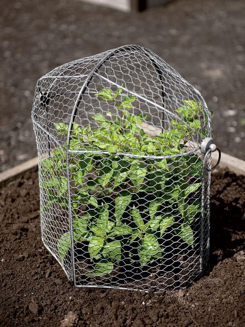 Gardener’s Supply Company Chicken Wire Cloche Garden Row Plant Protector | Sturdy Metal Protection for Seedlings and