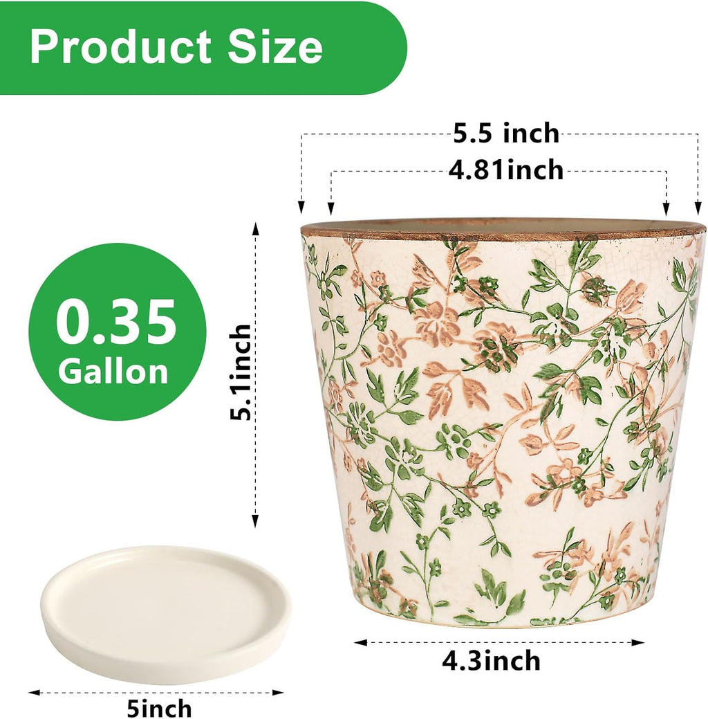 Ceramic Flower Pots for Indoor Plant with Drainage Hole & Saucer | 5.5 Inch Small Ice Crack Plant Pots, Decorative