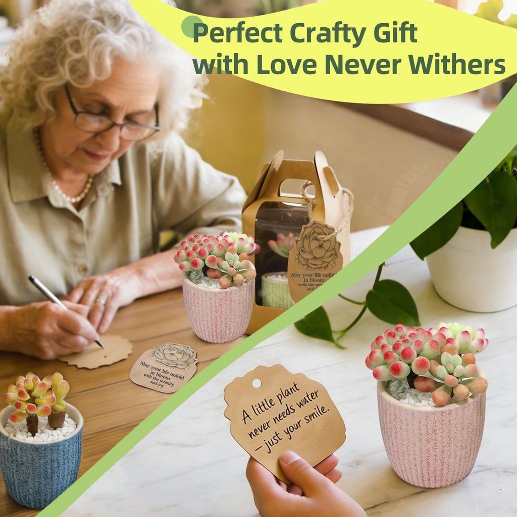 Microland Crafts for Teens Succulents Flower Making Clay Kit Creative Gifts | Crafty Gift w/ Pots & 60+ Tools
