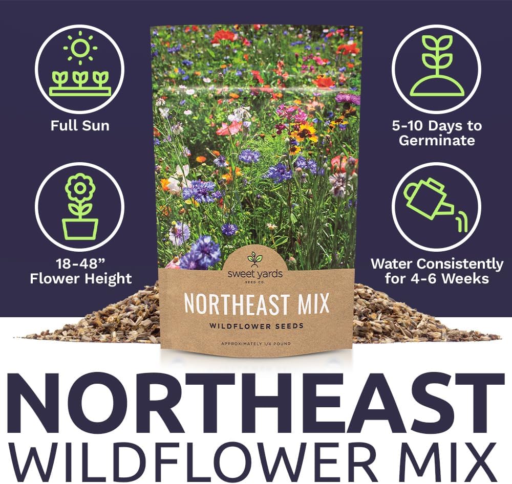 Northeast Wildflower Seed Regional Mixes - Bulk 1/4 Pound Bag - Over 30,000 Native Seeds - Open Pollinated and Non GMO