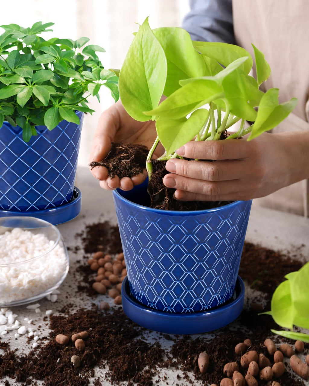 EFISPSS Ceramic Plant Pots, 5Inch Pots for Indoor Plants, Planters with Drainage Holes and Ceramic Tray,Plant Lover